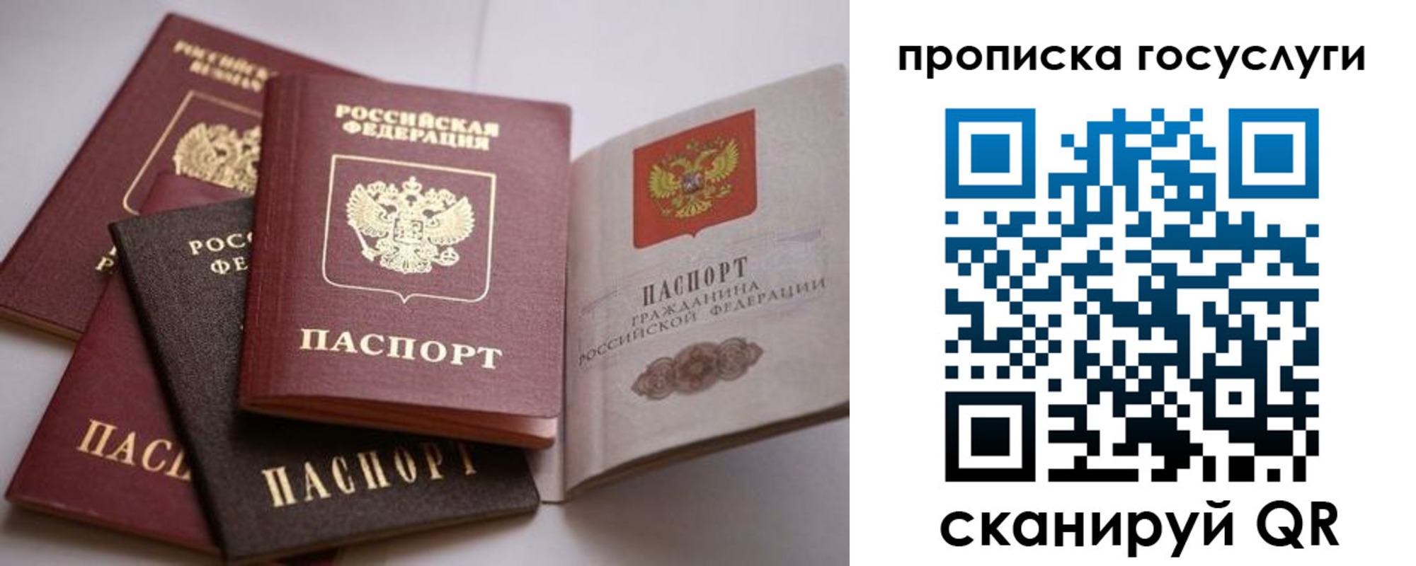 купить прописку в Чайковском